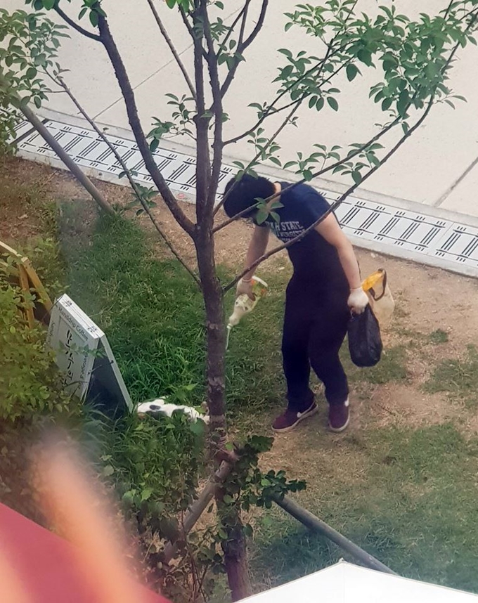 경의선 고양이 살해 사건의 범인이 고양이 사체 위에 무언가를 뿌리는 모습. 연합뉴스