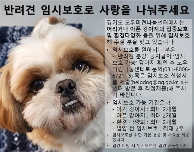 경기도의 반려견 임시보호제도 시행 홍보물. 경기도 제공