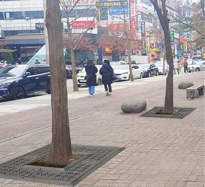 경기 성남 서현역 북측 가로공원에 설치된 가로수보호판. 철강으로 만든 기존 제품과 달리 라면봉지 등 폐비닐로 만들어졌다. 환경부 제공