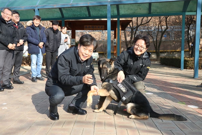 대구경찰청 과학수사관리계 경찰관들이 24일 체취증거견 '탕고'에게 마견 계급장을 착용하고 있다. 탕고는 2018년 3월생 셰퍼드다. 대구경찰청 제공