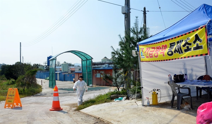 경기 파주 등지에서 아프리카 돼지열병이 잇따라 발생한 지난 10월 인근 접경지역인 강원 철원군 구순리 양돈농가 앞에 긴급 방역초소가 설치됐다. 뉴스1