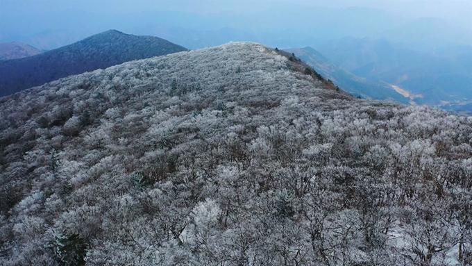 KBS '영상앨범 산', KBS 제공