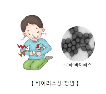 로타바이러스 이미지. 서울아산병원 제공.