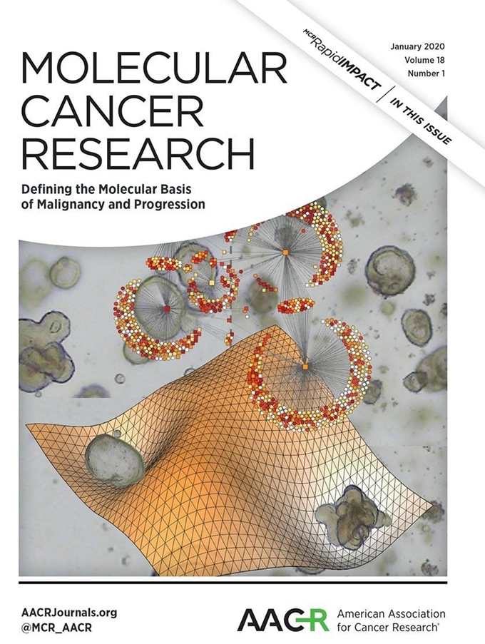 조광현 교수 연구팀의 논문이 실린 <분자암 연구> 표지. 카이스트 제공