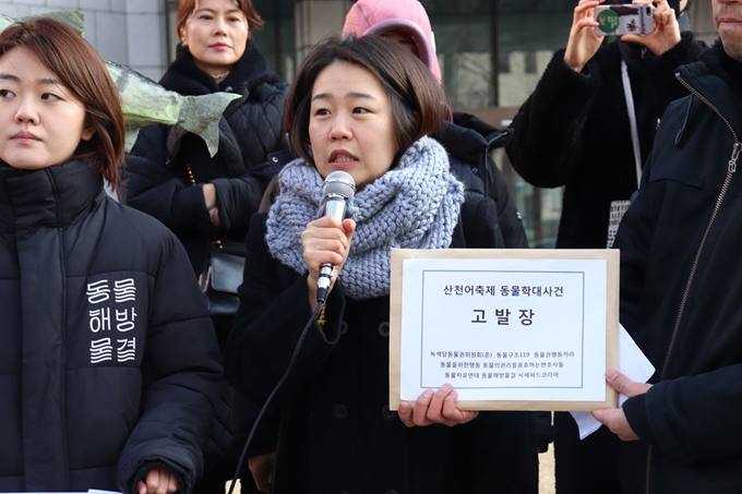 동물해방물결, 동물자유연대 등 11개 동물권 단체로 이뤄진 산천어 살리기 운동본부는 9일 한국프레스센터 앞에서 기자회견을 열고 산천어 축제는 동물학대 행위에 해당한다며 전면 개편할 것으로 촉구했다. 동물해방물결 제공