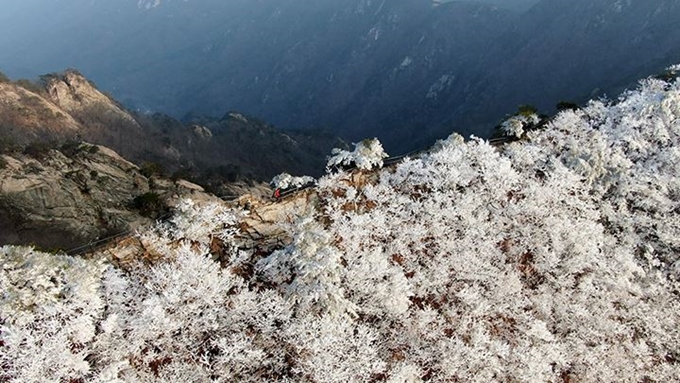 KBS '영상앨범 산'. KBS 제공