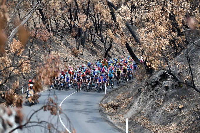 22일(현지시간) '투어 다운 언더'(Tour Down Under•TDU) 대회 이틀째를 맞아 선수들이 우드사이드에서 스털링까지 2구간 중 화마가 지나간 애들레이드 힐스를 달리고 있다.애들레이드 힐스=EPA 연합뉴스