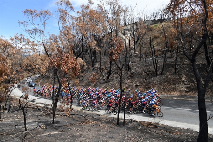 22일(현지시간) '투어 다운 언더'(Tour Down Under•TDU) 대회 이틀째를 맞아 선수들이 우드사이드에서 스털링까지 2구간 중 화마가 지나간 애들레이드 힐스를 달리고 있다.애들레이드 힐스=EPA 연합뉴스