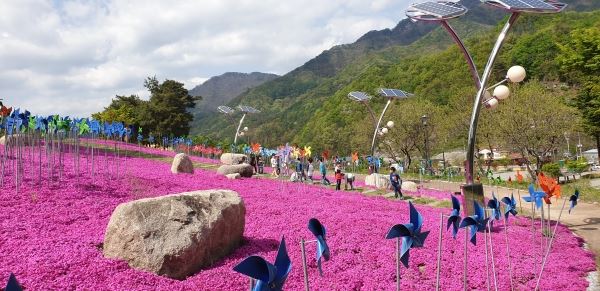 경북 문경자연생태박물관 내 야외 꽃단지 전시 모습. 문경시 제공