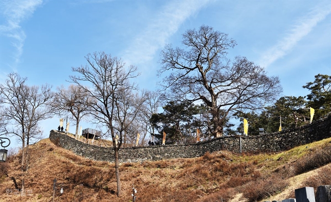 성곽 서편에서 올려다본 공산성 금서루 일대 풍경. 성곽길을 따라 한 바퀴 산책할 수 있다.