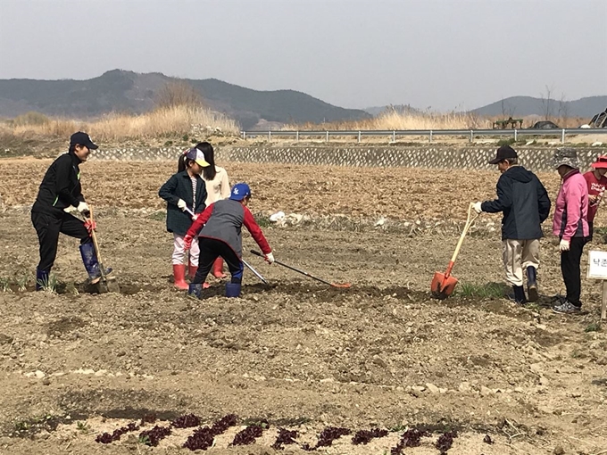 주말농장을 찾은 가족들이 분양받은 농장에 묵은 밭을 일구고 있다. 달성군 제공