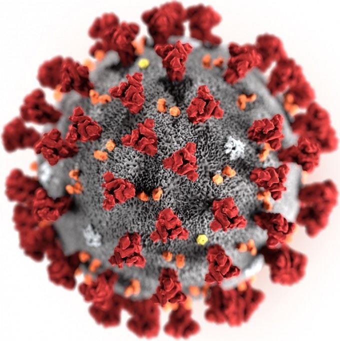 미국질병통제센터(CDC)가 공개한 신종 코로나바이러스의 이미지. CDC 제공