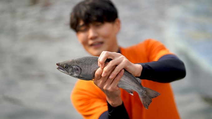 2일 강원도 화천 산천어축제를 찾은 관광객이 맨손잡이 체험을 즐기고 있다. 화천군 제공