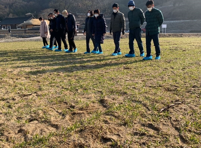 경주 양동마을 보리밭에서 관광객들이 청보리밟기 체험 이벤트를 즐기고 있다. 경주시 제공