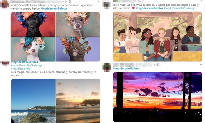 최근 해외 SNS에서는 해시태그 ‘잉그리드 에스카미야’ (#IngridEscamilla)가 붙은 게시물이 확산 중이다. 트위터 캡처