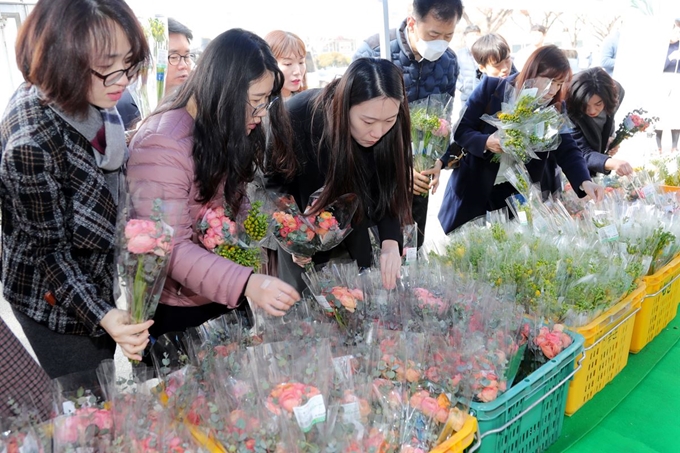 지난 14일 충북도청 광장에 마련된 ‘화훼농가 돕기 일일 직거래장터’에서 도청 직원들이 튤립, 프리지아, 장미 등 꽃다발을 고르고 있다. 이 장터는 코로나19로 어려움을 겪고 있는 지역 화훼농가를 돕기 위해 열었다. 이시종 충북지사는 “코로나19 확산에 따른 졸업식, 입학식 취소로 애를 태우는 화훼 농가를 위해 도민들이 꽃 소비 촉진을 도와달라”고 당부했다. 충북도 제공