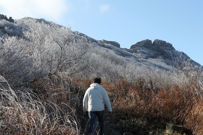 광주 무등산 중머리재에 핀 상고대. 연합뉴스