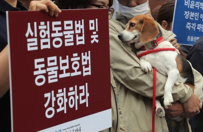 직위해제 소식이 알려지자 동물보호단체에서는 이병천 교수의 파면을 촉구하고 나섰다. 사진은 지난해 4월 이병천 교수의 처벌을 주장한 동물보호단체들의 집회 현장. 연합뉴스