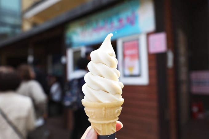 매화마을에서 맛보는 매실아이스크림.