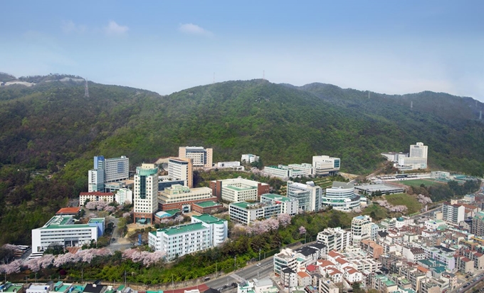 인제대학교 전경. 인제대 제공