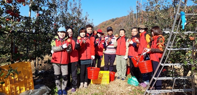 당기나기봉사단 회원들이 2018년 11월 청송 사과농가에서 농촌일손돕기 봉사 활동 중 직접 딴 사과를 보이며 활짝 웃고 있다. 당기나기봉사단제공