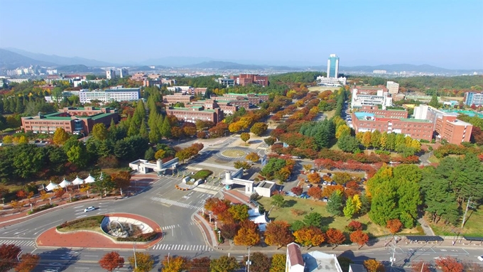 대구대 경산캠퍼스 전경. 대구대 제공