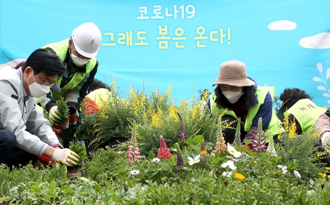 12일 서울 송파구청 앞 정원에서 박성수 구청장(왼쪽)과 관계자들이 봄꽃을 심고 있다. 서재훈 기자