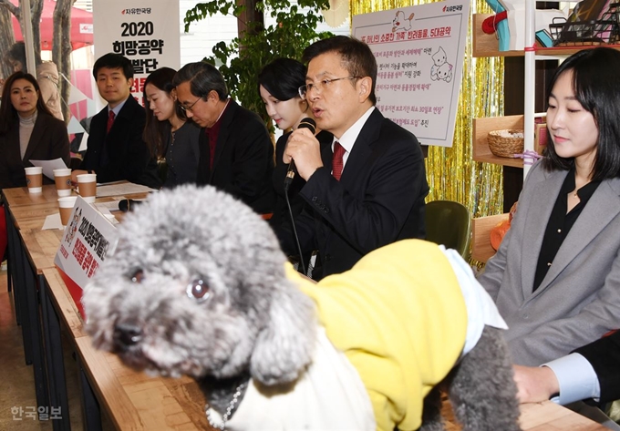 [저작권 한국일보]지난 1월 미래통합당 황교안 대표가 서울 마포구 반려견 동반카페 마포다방에서 ‘2020 희망공약개발단 반려동물 공약’ 을 발표하고 있다. 오대근기자