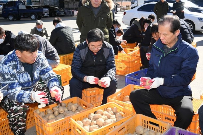 감자 판촉에 나선 최문순(오른쪽) 강원지사가 강원도 평창군 진부농협경제사업소를 찾아 장덕수(오른쪽 두 번째) 강원농협 본부장과 함께 선별작업을 하고 있다. 뉴스1ㆍ평창군 제공