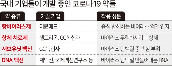 [인포그래픽] 국내 기업들이 개발 중인 코로나19 약들. 그래픽=김문중 기자