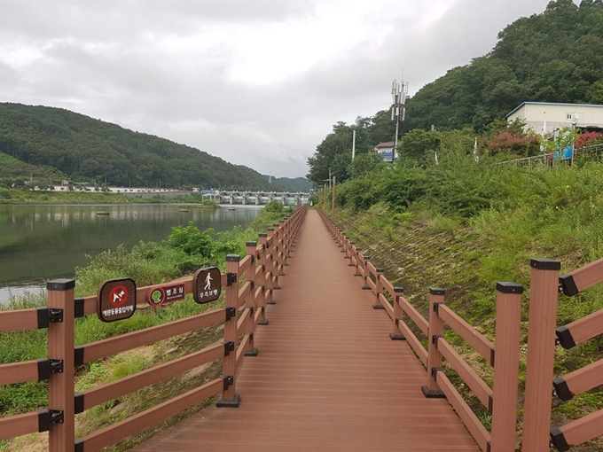 경북도가 코로나19 확산 장기화로 면역력 증강에 도움이 되는 숲길 조성을 확대하고 있다. 사진은 안동 호반나들이길. 경북도 제공