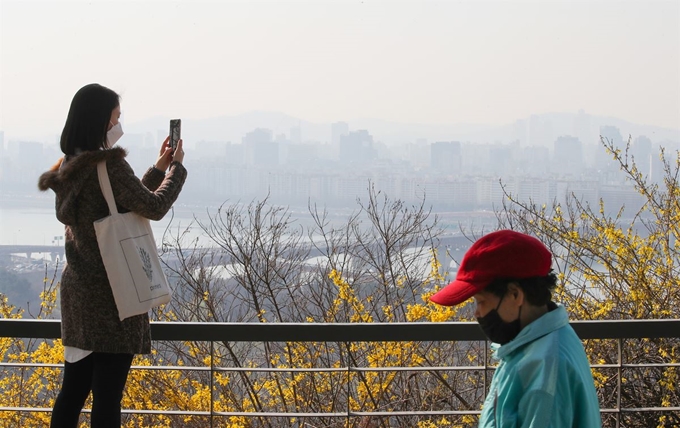 포근한 봄 날씨를 보인 23일 오전 개나리가 핀 서울 성동구 응봉산에서 시민들이 산책하며 봄을 즐기고 있다.연합뉴스