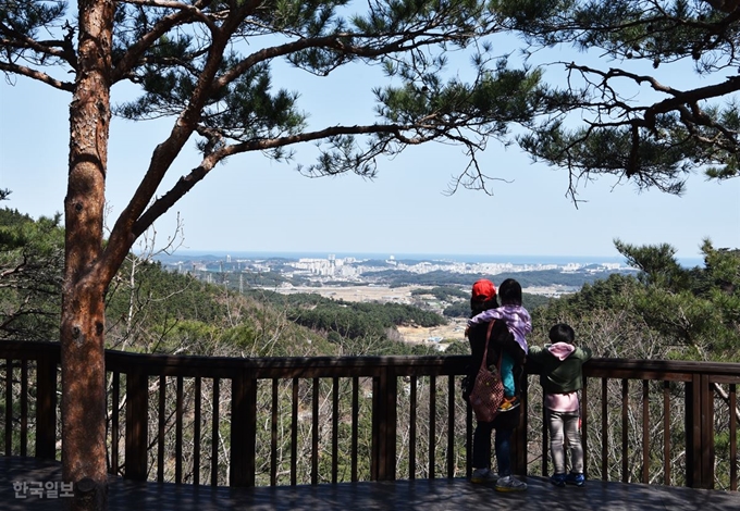 솔향수목원 전망대에 오르면 멀리 강릉 시내와 바다가 보인다.