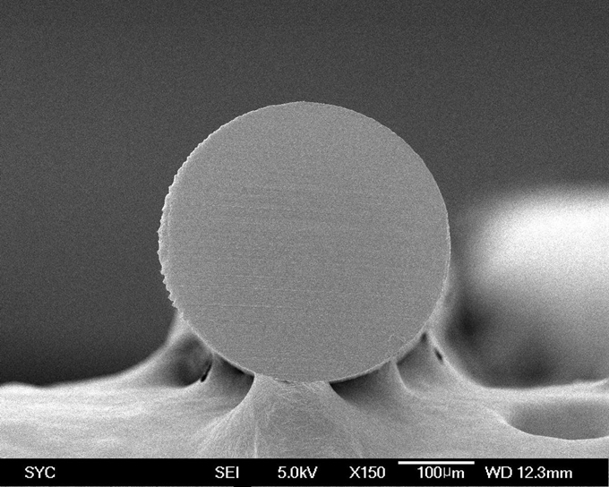 [생생과학]현미경으로 150배 확대한 모노 필라멘트(한 가닥으로 이뤄진 봉합사) 단면. 삼양바이오팜 제공