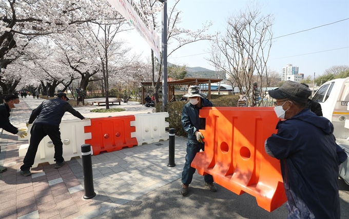 25일 오후 울산시 울주군 삼남면 작천정 벚꽃길 입구에 시민과 관광객들의 방문을 제한하기 위한 안내판이 설치되고 있다. 울주군 측은 "코로나19 감염 확산을 막기 위해 불가피하게 작천정 벚꽃길을 통제한다"며 "사회적 거리 두기에 시민 여러분의 적극적인 협조를 부탁한다"고 당부했다. 연합뉴스