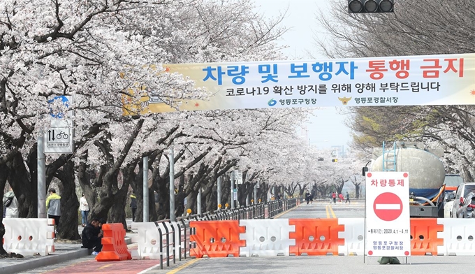 1일 서울 영등포구 여의도 국회의사당 벚꽃길이 코로나19 확산 방지를 위해 전면 통제되고 있다. 뉴스1