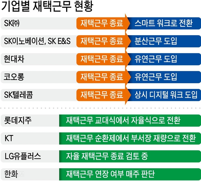 [저작권 한국일보]기업별 재택근무 현황 그래픽=강준구 기자