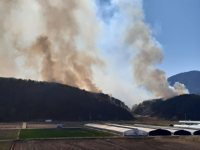 지난달 23일 오후 울산시 울주군 두서면 전읍리 한 야산에서 불이 나 일대가 자욱한 연기에 뒤덮여 있다. 울산=연합뉴스