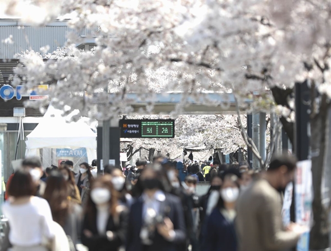 여의도 봄꽃축제가 취소되고 정부가 신종 코로나바이러스 감염증(코로나19) 확산 방지를 위한 ‘강화된 사회적 거리두기’를 2주 연장한 이후인 5일 오후 서울 여의도 여의나루역 인근에 많은 상춘객들이 벚꽃을 보기 위해 한강 여의도공원을 찾고 있다. 뉴시스