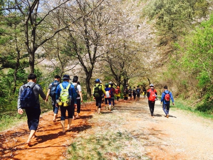 계족산을 찾은 시민들이 임도에 만들어진 황톳길을 맨발로 걷고 있다. 황톳길을 조성하고 관리하는 맥키스 컴퍼니는 코로나19 여파로 올해 계족산 맨발축제를 취소하기로 결정했다. 맥키스컴퍼니 제공