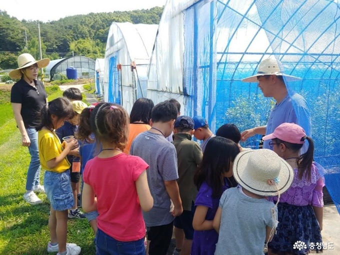 농촌 체험. 충남도 제공.