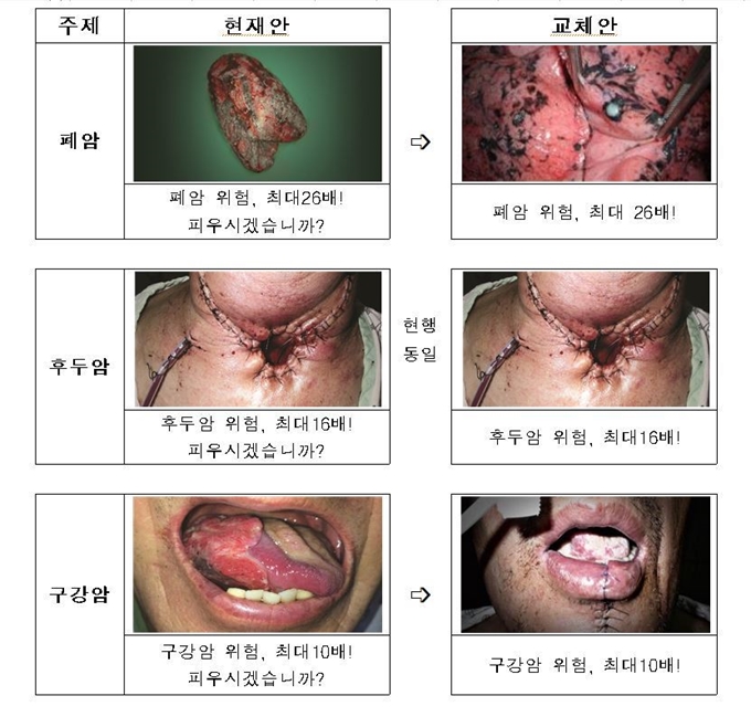 보건복지부 제공