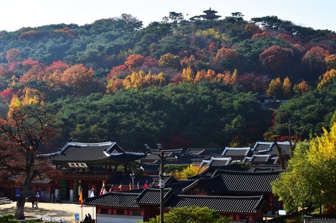 경기 수원시 수원화성행군을 애워싸고 있는 팔달산을 '천년의 소나무 숲'으로 조성한다는 계획이다. 팔당산과 함께 위용을 갖추고있는 수원화성 모습. 수원시 제공