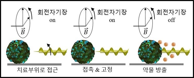 바늘형 마이크로로봇이 몸 속에 들어가 목표한 곳에 약물을 방출하는 원리는 보여주는 모식도.