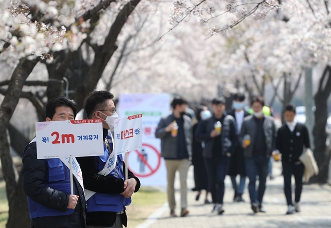 지난 6일 점심시간 여의나루역 인근에서 벚꽃길을 걷는 시민들 사이로 영등포구청 직원들이 마스크 착용과 2m 거리두기 팻말을 들고 코로나19 예방 캠페인을 벌이고 있다. 연합뉴스