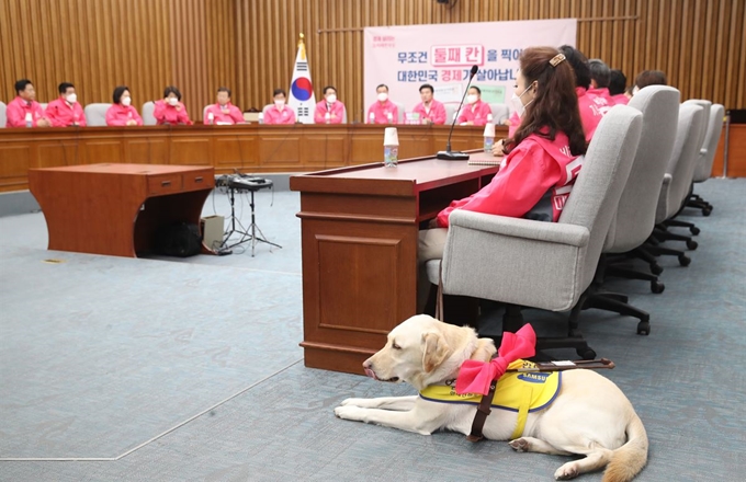 13일 오전 서울 여의도 국회에서 열린 미래한국당 선거대책위원회 회의에서 김예지 비례대표 후보의 안내견 조이가 핑크 리본을 단 채 김 후보 옆에 앉아있다.연합뉴스