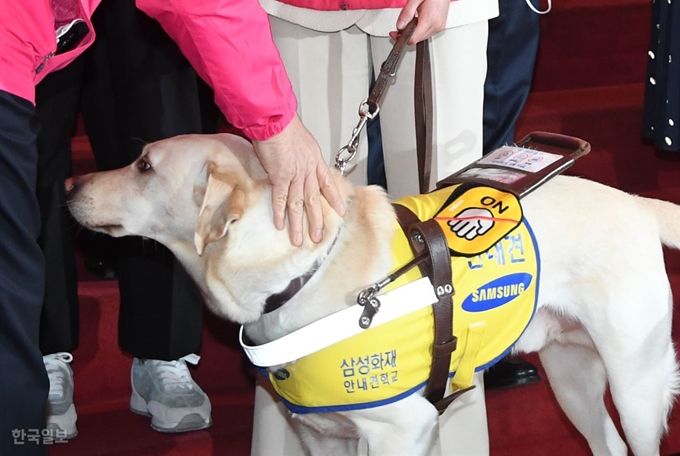 황교안 미래통합당 전 대표가 1일 국회에서 김예지 미래한국당 당선인의 안내견 조이를 쓰다듬고 있다. 오대근 기자