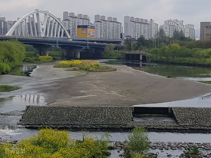 [저작권 한국일보] 20일 광주 서구 치평동 광주천 상무교 주변에 수량 부족으로 대형 모래톱이 드러나 있다. 김종구 기자 /2020-04-20(한국일보)