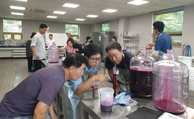 영천와인학교 교육생들이 와인기초 과정을 교육받고 있다. 영천시 제공