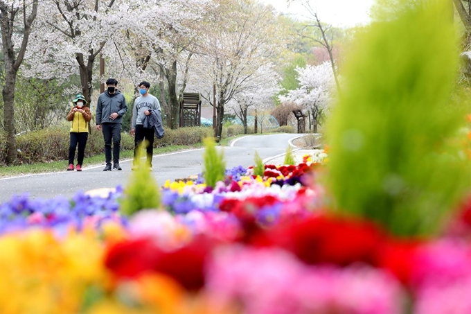 22일 인천 강화군 석모도수목원에서 시민들이 산책을 즐기고 있다. 정부는 신종 코로나바이러스 감염증(코로나19) 확산 차단을 위해 문을 닫았던 자연휴양림 43개, 수목원 2개, 국립치유원 1개, 치유의 숲 10개를 이날부터 문을 열었다. 뉴스1